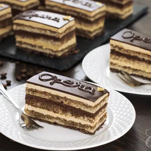 Opera Cake – French Chocolate Coffee Cake Recipe - main1