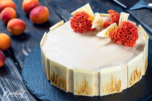 Apricot and Caramelized White Chocolate Mousse Cake