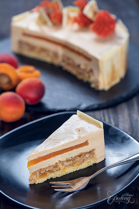 Apricot and Caramelized White Chocolate Mousse Cake Slice