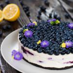 No Bake White Chocolate Blueberry Lemon Cheesecake