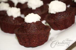 Chocolate Coconut Muffins closeup