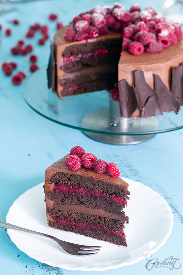 Chocolate Raspberry Cake Slice