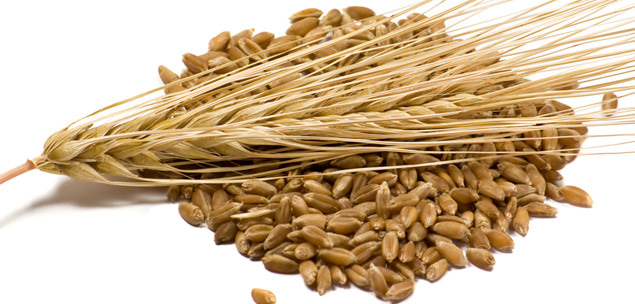 barley benefits