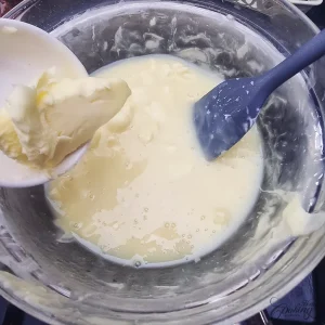 Pistachio Cranberry White Chocolate Truffles - step3